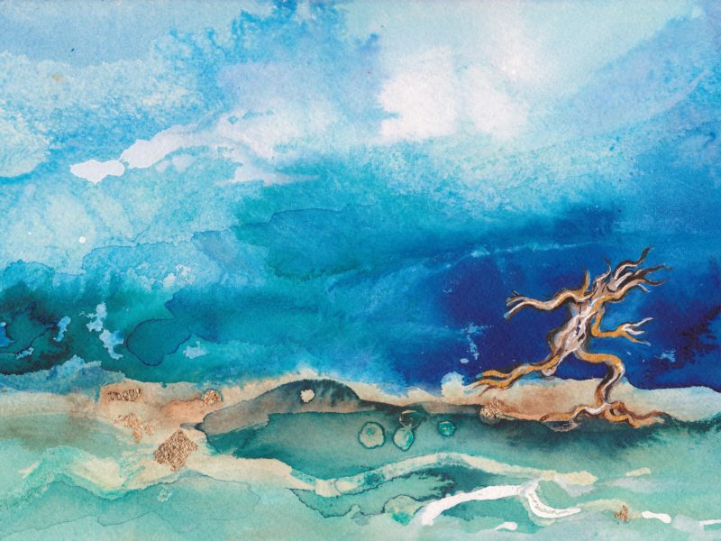 Mr Tree Man running free