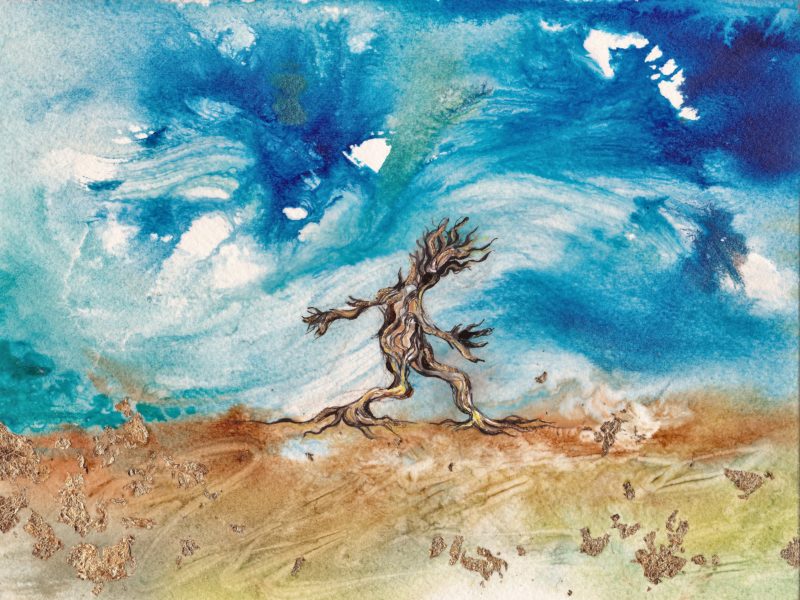 Mr Tree Man walks free